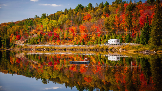 Fall Foliage Adventures: Top Scenic Routes and Trails in Michiana | Cressy & Everett